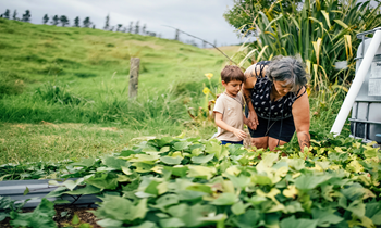 Find out how we're giving back to New Zealand and its people.