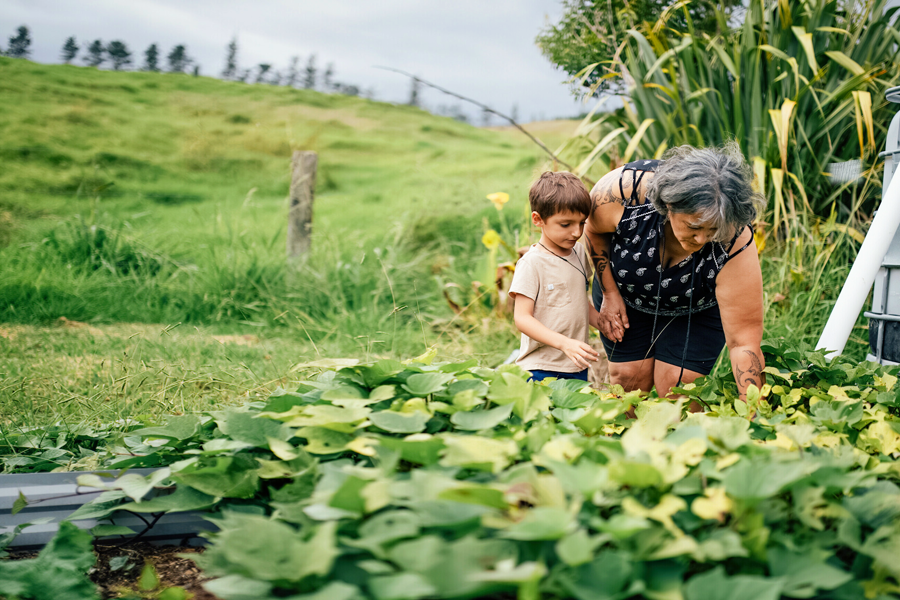 For the good of New Zealand: our ESG approach.