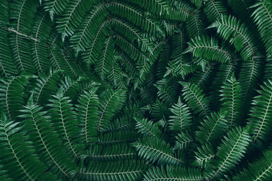 Umbraco.Cms.Infrastructure.PublishedCache.Property Whistleblower Policy.