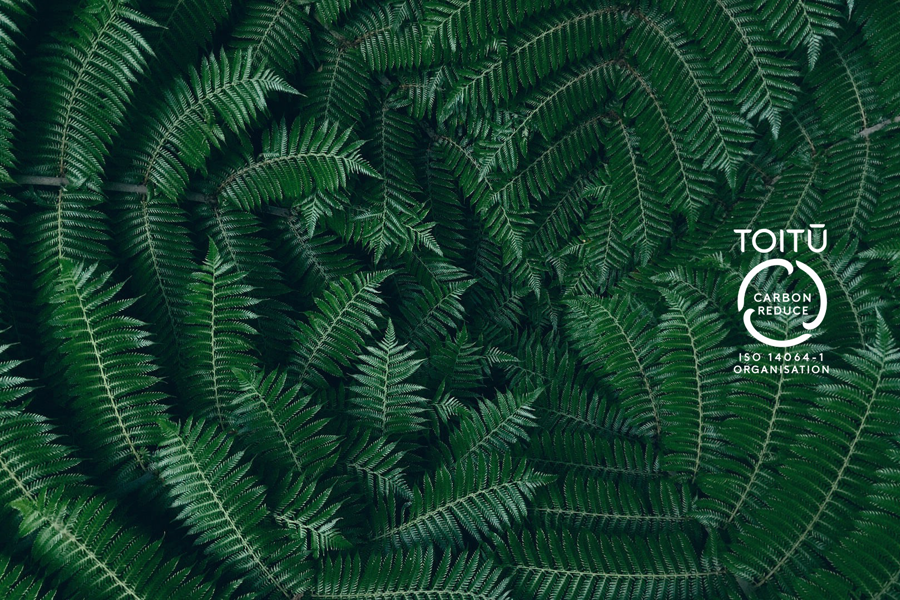 Umbraco.Cms.Infrastructure.PublishedCache.Property Our Toitū certification.