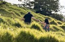 young couple holding hands in the park - back view