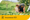 Umbraco.Cms.Infrastructure.PublishedCache.Property