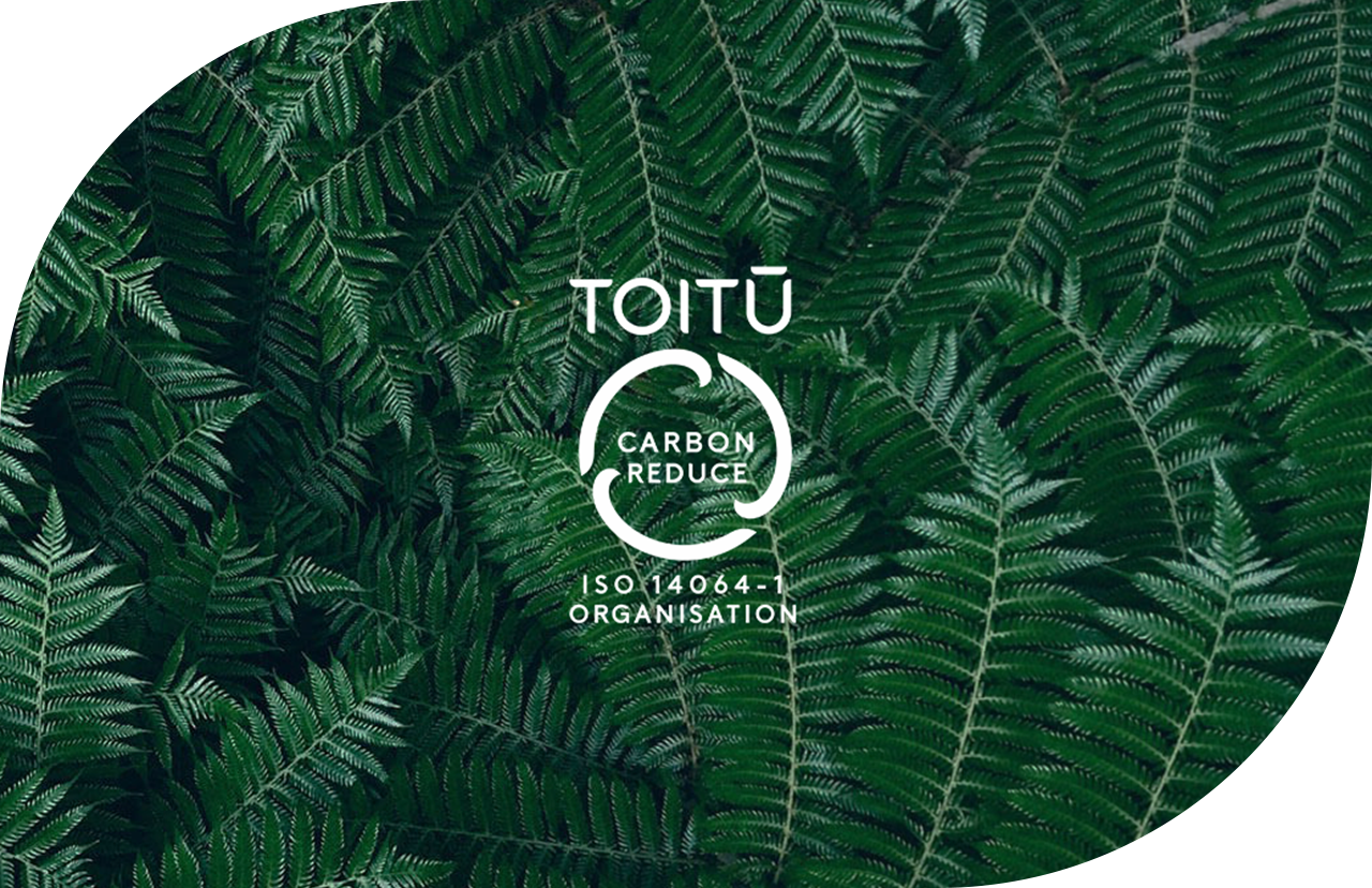 Toitu (Leaf)