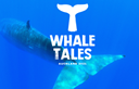 Whale tales
